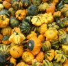 Il viaggio di Halloween 🎃🎃🎃🎃  31 ottobre – 3 novembre 2019